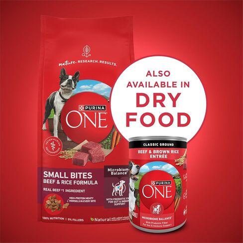 Purina ONE Classic Ground Beef & Rice Wet Dog Food, (12) 13 oz Cans in Kuwait