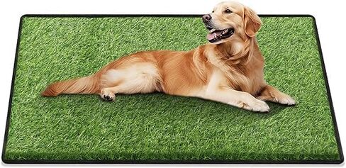 Artificial Grass for Dogs Potty, Reusable Pet Training Mat for Home and Travel, Washable Hemmed Edge Grass Pee Pad with Drainage Holes, Easy to Clean (31"x51") in Kuwait