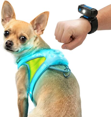 noxgear LightHound Light Up Reflective Dog Harness, Large in Kuwait