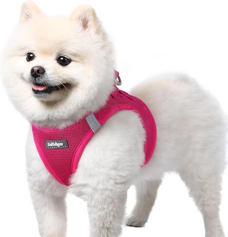 rabbitgoo Step-in Small Dog Harness, Puppy Vest for Small Sized Pet in Saudi Arabia