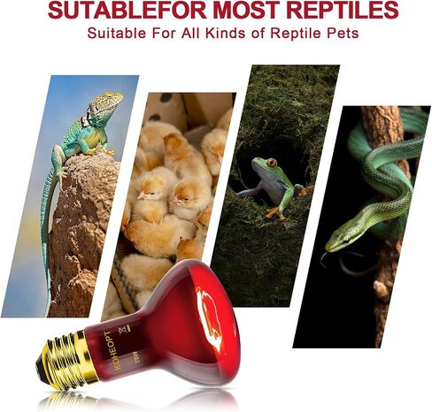 2-Pack Infrared 75W Reptile Heat Lamp Bulb,Heat Emitter Red Heat Lamp for Reptile Amphibian, Infrared Basking Spot Light Bulb,Red Heat Lamp for Chickens、Lizards、Snakes in Kuwait