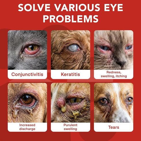 Eye Care Drops for Dogs & Cats – Supports Healthy Vision & Comfort, Preservative-Free, Natural Formula, 1.69 fl oz in Kuwait