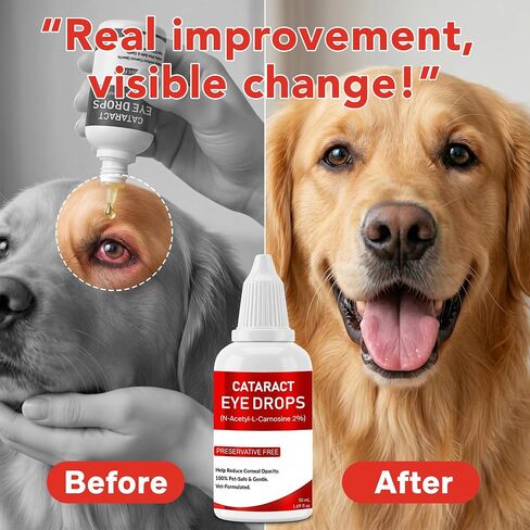 Eye Care Drops for Dogs & Cats – Supports Healthy Vision & Comfort, Preservative-Free, Natural Formula, 1.69 fl oz in Kuwait