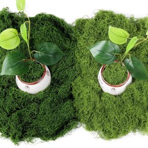 Jollidecor 1.54 LB Fake Moss for Crafts, Artificial Decorative Light Green and Dark Green Faux Moss DIY Fairy Garden Decor for Indoor Decor in Kuwait