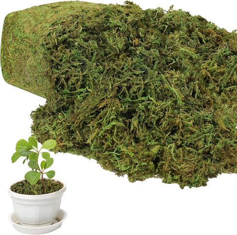 17.6 OZ Large Capacity Artificial Moss for Potted Plants and Crafts in Saudi Arabia