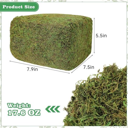 17.6 OZ Large Capacity Artificial Moss for Potted Plants and Crafts in Saudi Arabia