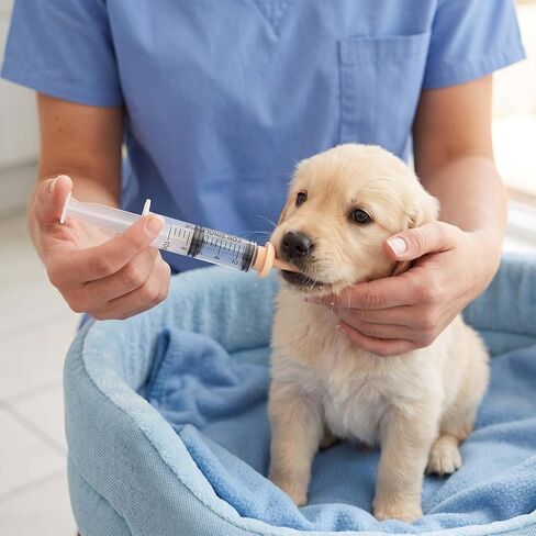 Pet Feeding Syringe, 2 Pcs Puppy Kitten Nursing Syringe with 10 Pcs Nipple, Silicone Feeding Tools for Newborn Animals Puppies Cat Dog Rabbits in Kuwait