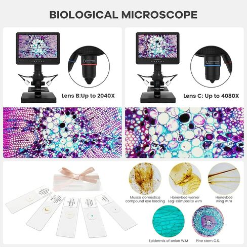 Andonstar AD249-P 10.1 Inch Digital Microscope, Coin Microscope for Error Coins Whole Coins, 1000x 3 Lens 1080P FHD Video Record, Biological Microscope Kit for Adults and Kids, Prepred Slides in Saudi Arabia