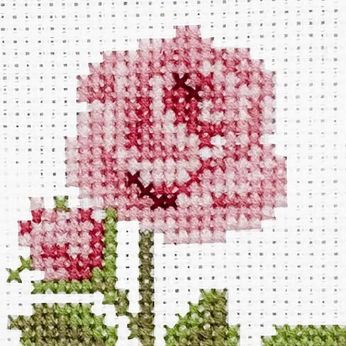 DUTCH STITCH BROTHERS - Rose Counted Cross Stitch 4" Hoop and Pattern Included - Cross Stitching Kits for Adults Advanced and Beginners in Kuwait
