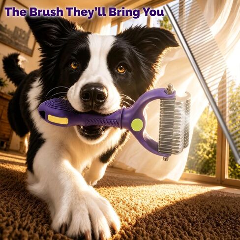 Deshedding Dog Brush, Dog Grooming Kit for Dogs & Cats in Kuwait