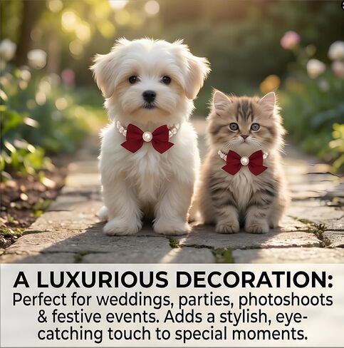 Fashions Dog Collar – Pearl Cat Collar, Diamond Cat Collar and Pet Jewelry Necklace for Puppies and Cats, Party, Photo Shoots, Weddings, Outdoor and Indoor Accessories (25-31cm) in Saudi Arabia