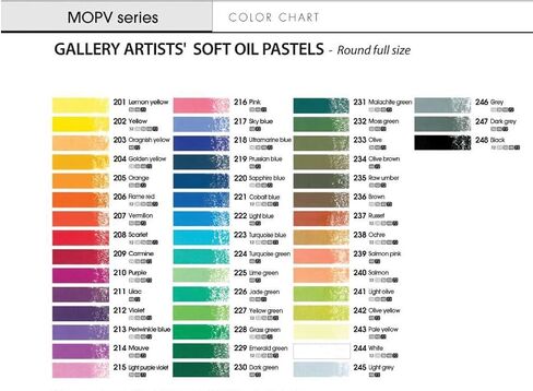 MUNGYO Gallery Artists' Soft Oil Pastels Professional, 48 Assorted Colors, Vibrant and Blendable in Saudi Arabia
