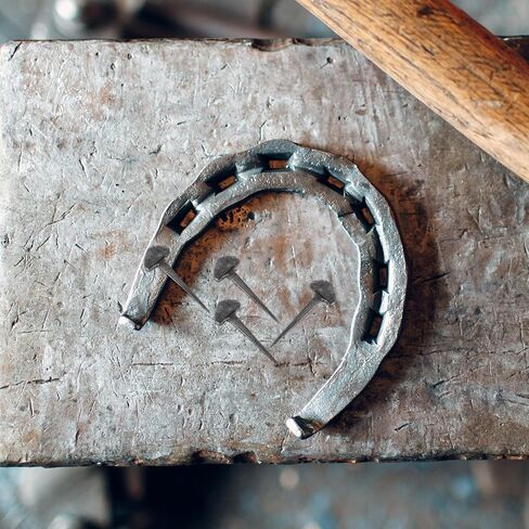 50pcs Horseshoe Nails for Horse Shoeing Iron Tack Box Stable Riding in Kuwait