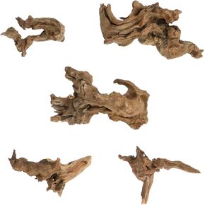 5Pcs Natural Driftwoods Length 1.97" to 3.94" in Kuwait