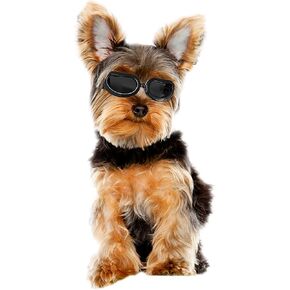 LESYPET Dog Goggles Small Breed, Cute Puppy Sunglasses with Foam Padded Inside, UV Protection Pet Sunglasses for Cats Puppies, Black in Kuwait