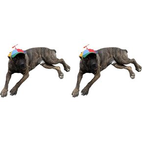 GEANBAYE Dog Hats with Funny Propeller, Size and Rope Double Adjustment Pet Hats for Small ，Medium， Large Dog and Cat (Iridescent) in Saudi Arabia