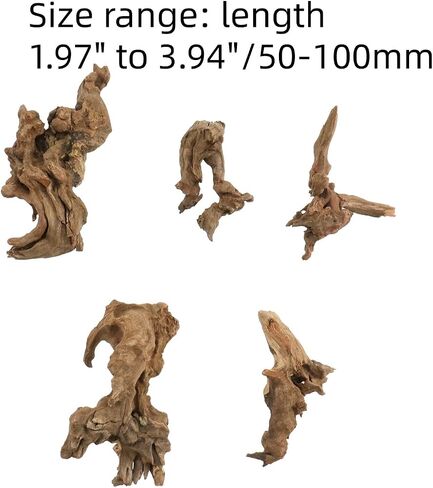 5Pcs Natural Driftwoods Length 1.97" to 3.94" in Kuwait