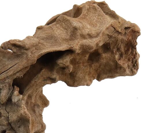 5Pcs Natural Driftwoods Length 1.97" to 3.94" in Kuwait