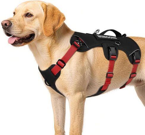 WINGOIN Escape Proof Dog Harness,No Pull for Large Dogs with Handle,Green,L in Kuwait