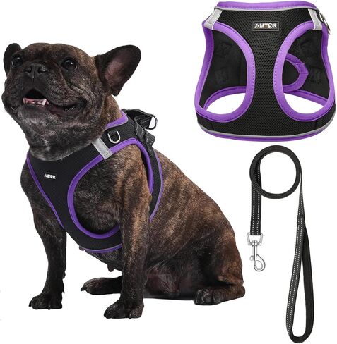 AMTOR Small Dog Harness with Leash Set, No Escape Easy Walk Puppy Harnesses for Training Walking, Step-in Reflective Soft Dogs Vest for XS S Medium Extra-Small Large Sized Dog(Green,S) in Saudi Arabia
