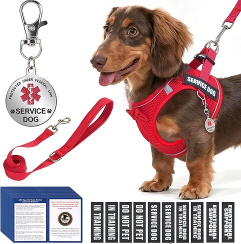 Service Dog Vest Harness for Small Breed Dogs with ID Tag 50 ADA Cards, 10 PCS Removable Patches, Emotional Support Animal Pet Harness, Lightweight Puppy Service Harnesses Set with Leash in Saudi Arabia