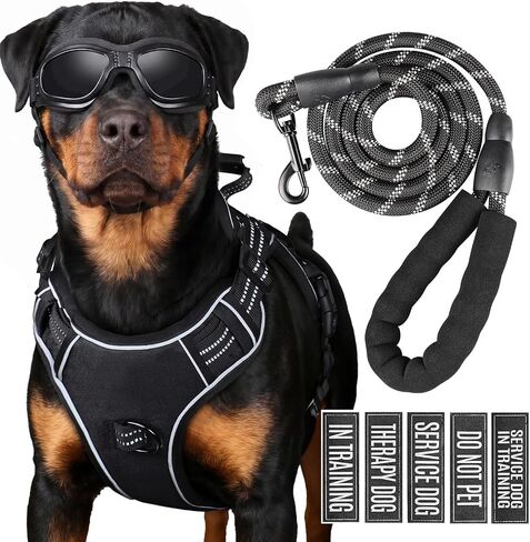 مجموعة سرج ومقود سترة تكتيكية للكلاب من Service Dog، دعم عاطفي للكلاب متوسطة الحجم - طوق تدريب تكتيكي للكلاب مع الاسم (أسود، M) in Kuwait