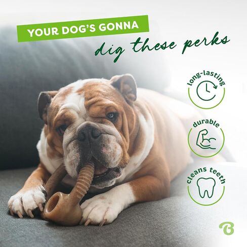 Benebone Ring Dog Chew Toy for Aggressive Chewers, Real Bacon, Medium in Kuwait