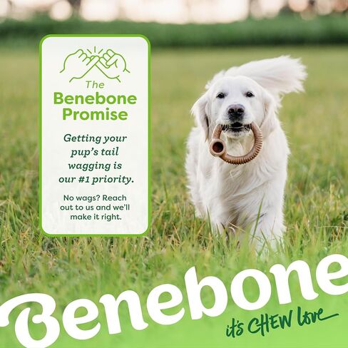 Benebone Ring Dog Chew Toy for Aggressive Chewers, Real Bacon, Medium in Kuwait