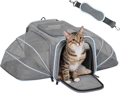 حاملات أرنب قابلة للتوسيع من Petsfit، حاملة حيوانات أليفة معتمدة من شركة الطيران مقاس 16 بوصة مع امتدادين، وسادة ناعمة قابلة للغسل، رأس سحاب ذاتي القفل، حبل أمان مدمج، مناسب للسفر in Kuwait