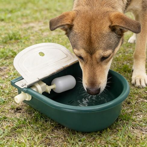 Automatic 1.2 Gallon Water Trough Cow Cattle Horse Water Bowls with Float Valve Livestock Tool Bowl for Cat Goat Sheep Dog Animal Drinking Equipment in Kuwait