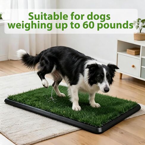 PAWISE Dog Grass Pad with Tray 30"x20" - Indoor Dog Potty with 2 Artificial Grass Patches + 2 Washable Pee Pads + Drainage Grate - Reusable Puppy Potty Training Pad for Apartment Balcony Patio in Kuwait