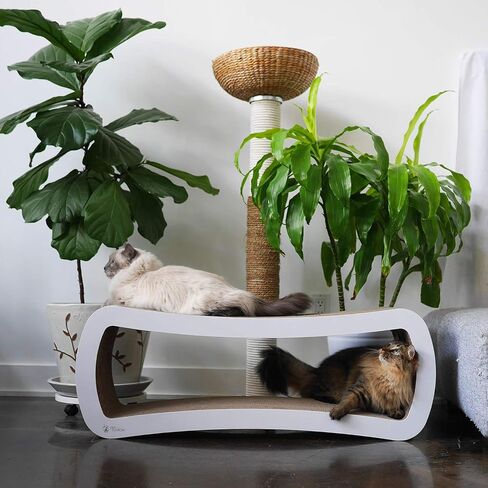 PetFusion Jumbo Cat Scratcher Lounge (99 x 28 x 36 cm, Cloud White). Superior Cardboard & Construction, significantly outlasts cheaper alternatives. in Kuwait