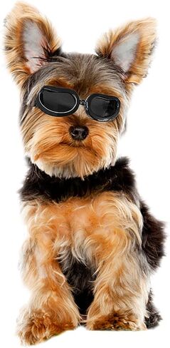 LESYPET Dog Goggles Small Breed, Cute Puppy Sunglasses with Foam Padded Inside, UV Protection Pet Sunglasses for Cats Puppies, Black in Kuwait