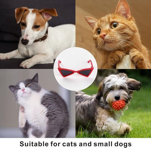2 PCS Cat and Small Dog Sunglasses in Saudi Arabia