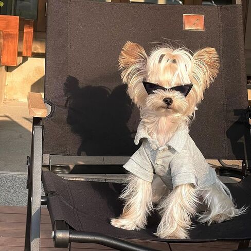 2 PCS Cat and Small Dog Sunglasses in Saudi Arabia
