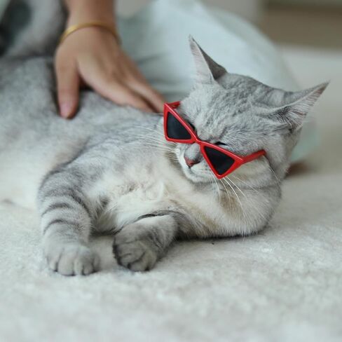 2 PCS Cat and Small Dog Sunglasses in Saudi Arabia