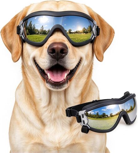 Dog Goggles for Large Breeds, Anti-UV Large Dog Sunglasses, Windproof Bike Goggles for Medium Large Dog Riding Biking Driving Eye Protection, Soft Frame, Adjustable Straps, Clear L in Saudi Arabia