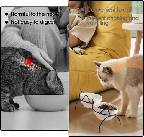 Cat Food Water Bowl Set, Double Ceramic Pet Bowls with 15°Tilted Raised Stand, Elevated Feeding Station with Two Removable Bowls, Raised Cat Bowl, Anti Vomiting Pet Dish Feeder, Kitten and Small Dogs in Kuwait
