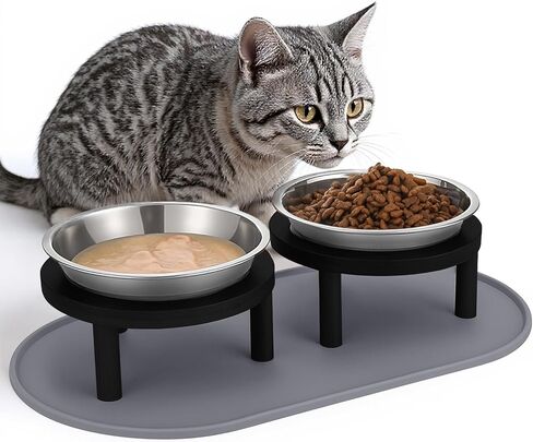 Elevated Cat Bowls with Food Mat,6.3 Inches Shallow Raised Bowls Whisker Friendly,2 Stainless Steel Cat Food and Water Dishes for Cats and Puppies,Dishwasher Safe in Kuwait