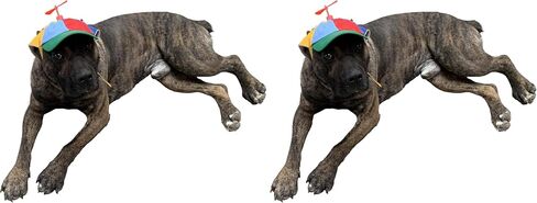 GEANBAYE Dog Hats with Funny Propeller, Size and Rope Double Adjustment Pet Hats for Small ，Medium， Large Dog and Cat (Iridescent) in Saudi Arabia