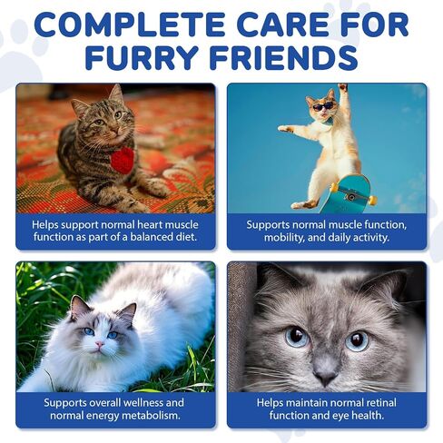 Taurine Drops for Cats – Essential Liquid Amino Acid for All Life Stages in Kuwait
