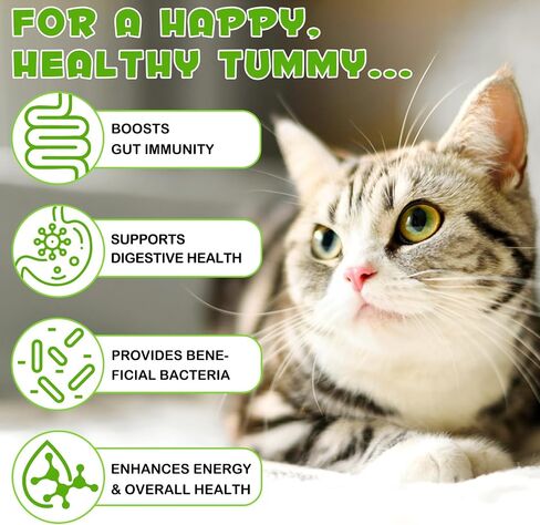 Probiotics for Cats, Cat Probiotic with Prebiotic and Enzymes, 3 in 1 Cat Probiotic Drops, Cats Probiotics Supplement Help Digestive Support Gut Health in Kuwait