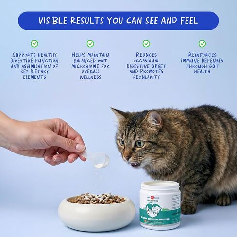 Cat Probiotics with Prebiotics for Cats Digestive Health & Diarrhea Support in Kuwait