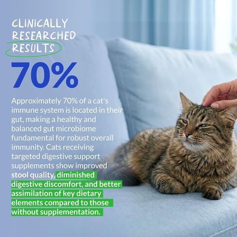 Cat Probiotics with Prebiotics for Cats Digestive Health & Diarrhea Support in Kuwait