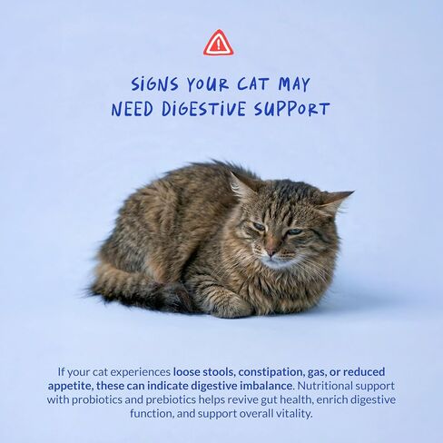 Cat Probiotics with Prebiotics for Cats Digestive Health & Diarrhea Support in Kuwait