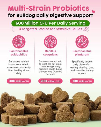 French Bulldog Probiotics - All Life Stages, Chicken Flavor in Saudi Arabia