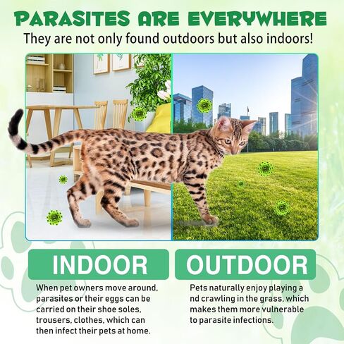 Specifically Formulated for Cats, Cats Natural Broad Spectrum, Digestive Support, Promotes Gut Health & Flora Balance, Cat Multivitamin Supplement Drops with Probiotic in Kuwait