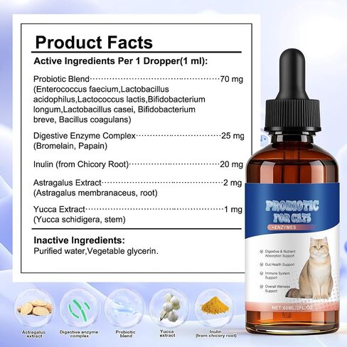 Cat Probiotics for Digestive Support in Saudi Arabia