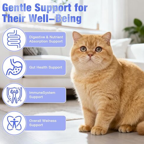 Cat Probiotics for Digestive Support in Saudi Arabia