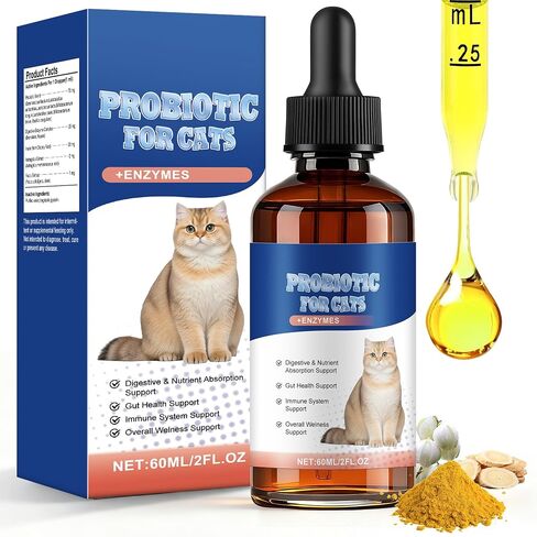 Cat Probiotics for Digestive Support in Saudi Arabia